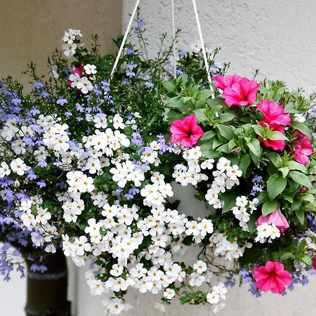 Haus Doerflinger Frau Marianne Apartment ชลูคซี ภายนอก รูปภาพ